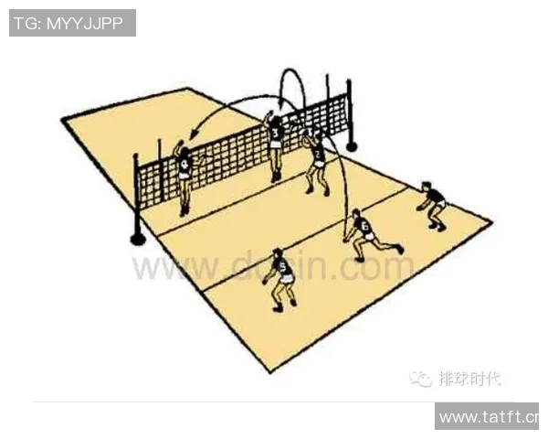 杭州排球队的转换打法深度分析与战术解读 杭州排球队的转换打法深度分析与战术解读