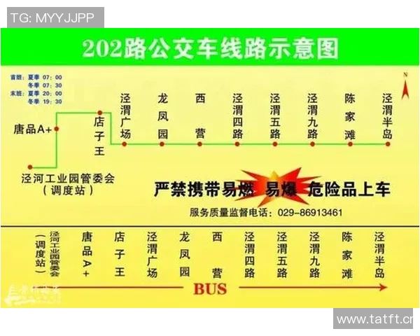 深入分析西安羽毛球队的运营策略与发展模式探讨