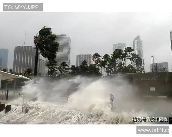 全球气候变化加剧各国应对策略不同联合国呼吁加强国际合作应对挑战